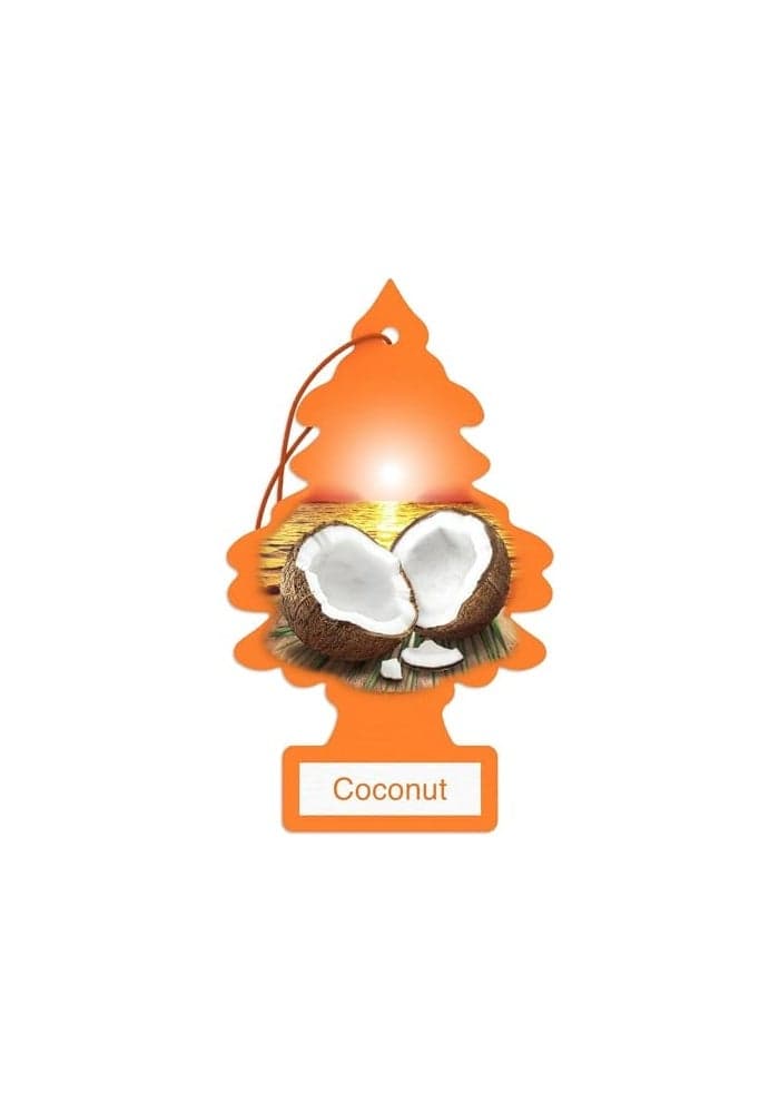 Car Freshner 10317