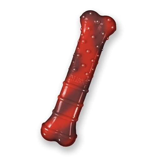 Nylabone Textured Bone Power Chew Toy for Dogs Durable Tough Dog Toys for Aggressive Chewers Beef Jerky Flavor Small Dogs Up to 25 Ibs 1 Count