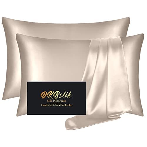 Silk Pillowcase 2 Pack Mulberry Silk Pillow Cases Queen Size Set of 2 Anti Acne Silk Pillowcase for Hair and Skin Natural Silk Satin Pillowcases Gifts for Women 2 Pack with Hidden Zipper Champagne