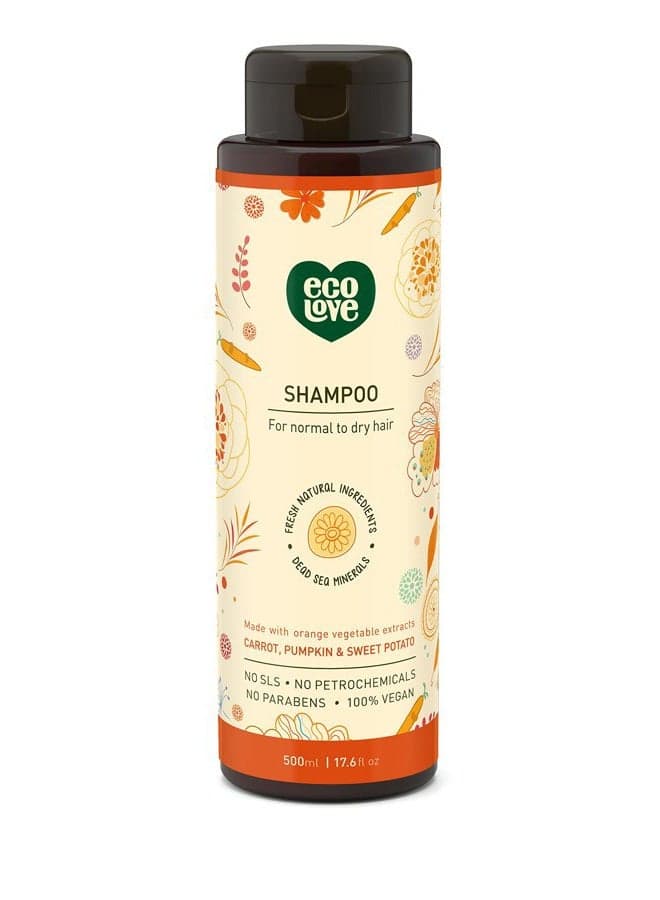 Natural Shampoo, Sodium lauryl sulfate Free, Vegan & Cruelty Free Shampoo, Natural Dry Shampoo for Women, Organic Carrot and Pumpkin Shampoo, No SLS or Parabens, 17.6 oz