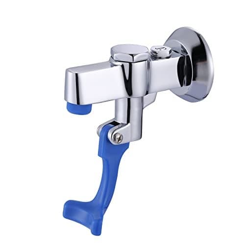 iVIGA Glass Filler Faucet Wall Mount PushBack Water Bottle Filling Station Brass Glass Filling Station Commercial Water Filler Faucet for Bar Cafe Hotel Kitchen Restaurant Female Inlet Flange