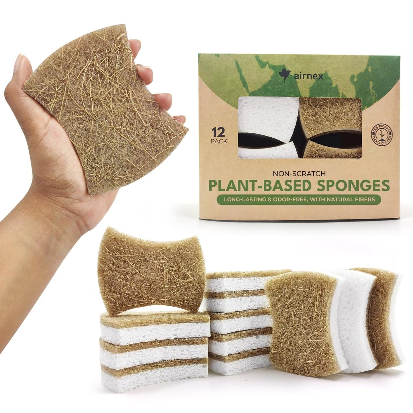 AIRNEX Biodegradable Natural Dish Sponges Coconut and Cellulose Eco Friendly NonScratch Heavy Duty Dish Scrubber Pack of 12