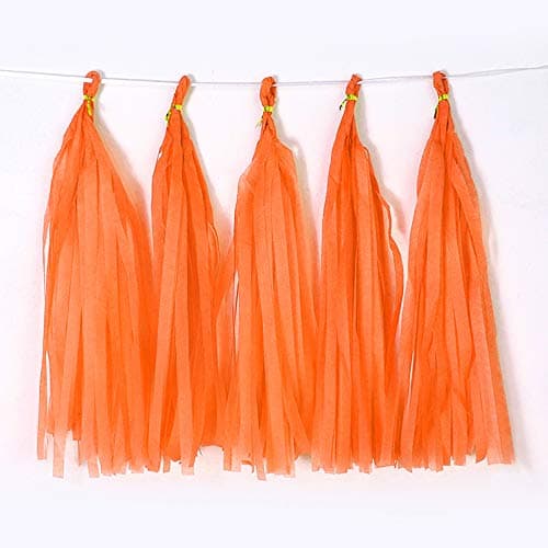 Binpeng 9.8in Orange Tissue Paper Tassel DIY Hanging Paper Decorations Party Garland for Parties, Weddings, Festivals, Baby Showers - 20PCS (25CM)