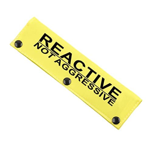 JXGZSO Reactive Not Aggressive Do Not Pet Dog Leash Sleeve Reactive Dog Leash Wrap (Reactive N Aggressive DLS)