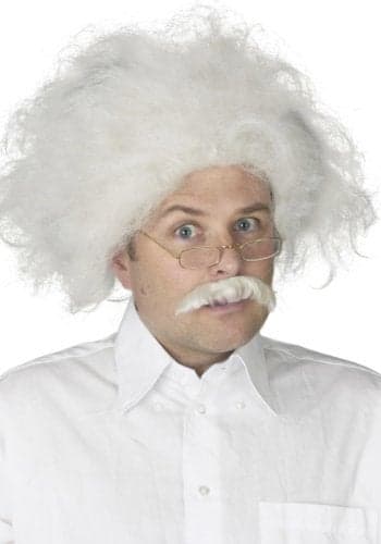 Einstein Wig Adult