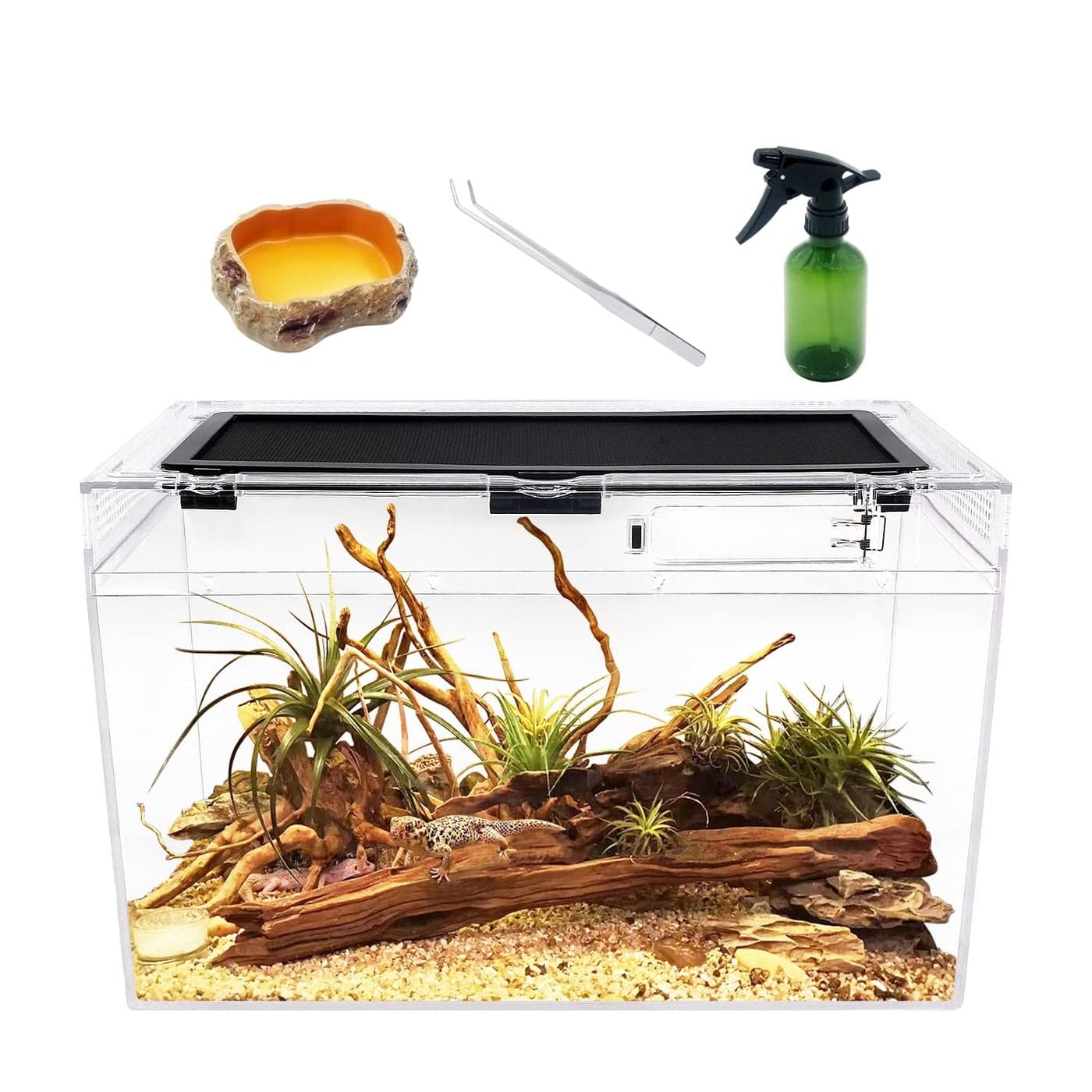 Reptile Terrarium16 x 8x 10 Reptile Tank with Full View Visually Appealingfor InsectFishTarantulaHermit CrabJumping SpiderIguanaTortoiseLeopard GeckoFrogBearded Dragon