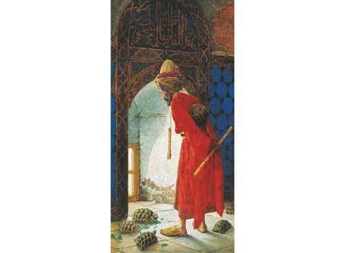 Anatolian Puzzle Turtle Trainer 1500 Piece Jigsaw Puzzle 3755