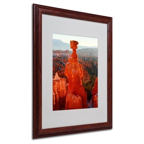 Trademark Fine Art Bryce Canyon Thor's Hammer by Pierre Leclerc Canvas Wall Artwork, Wood Frame, 16 by 20-Inch