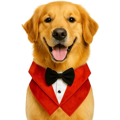 BURAQ Dog Tuxedo Bandana, W Bandana Pattern Bow tie, Ideal for Dog Birthday Decorations, Weddings, Adorable and Comfortable Pet Apparel (M - Strip Blue)
