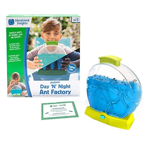 Educational Insights GeoSafari Day N Night Ant Factory Ant Farm with Live Ants Kids Science Kit At Home STEM Bug Kit LightUp Habitat for Viewing Ants Starter Sets and Nature Toys for Ages 7