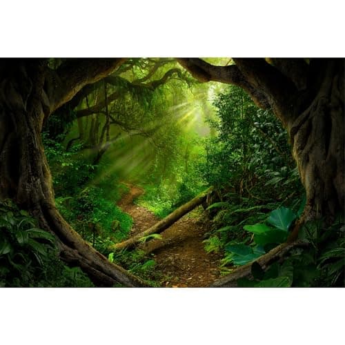 Jungle Forest Backdrop Mysterious Spring Rainforest Sunlight Jungle Forest Photography Backgrounds Camping Theme Party Backdrop Outdoorsy Natural Scenery Kids Adult Wedding Studio Backdrops 7x5ft