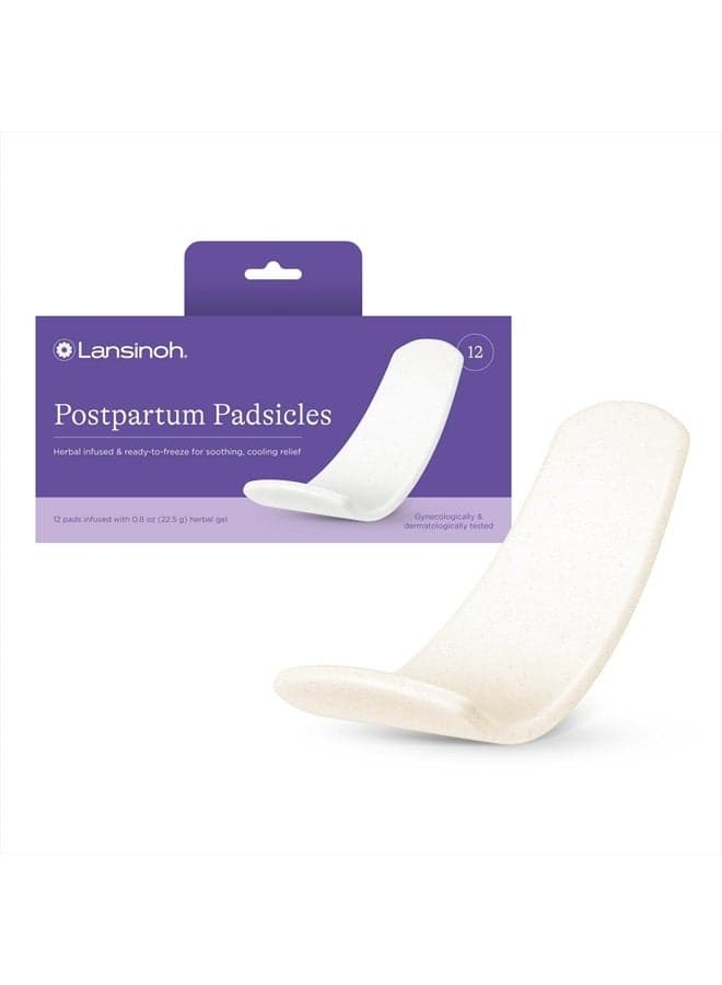 Postpartum Cooling Pads, Perineal Ice Packs, 12 Count, Witch Hazel Pads for Postpartum Care, Postpartum Essentials Padsicles with Cooling and Comforting Aloe Vera