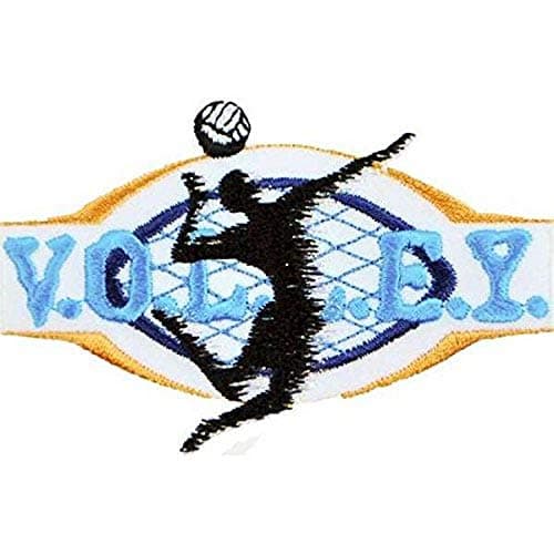 Expo International Volleyball Sport Embroidered Iron-on Applique Trim Embellishment, Multi-Color