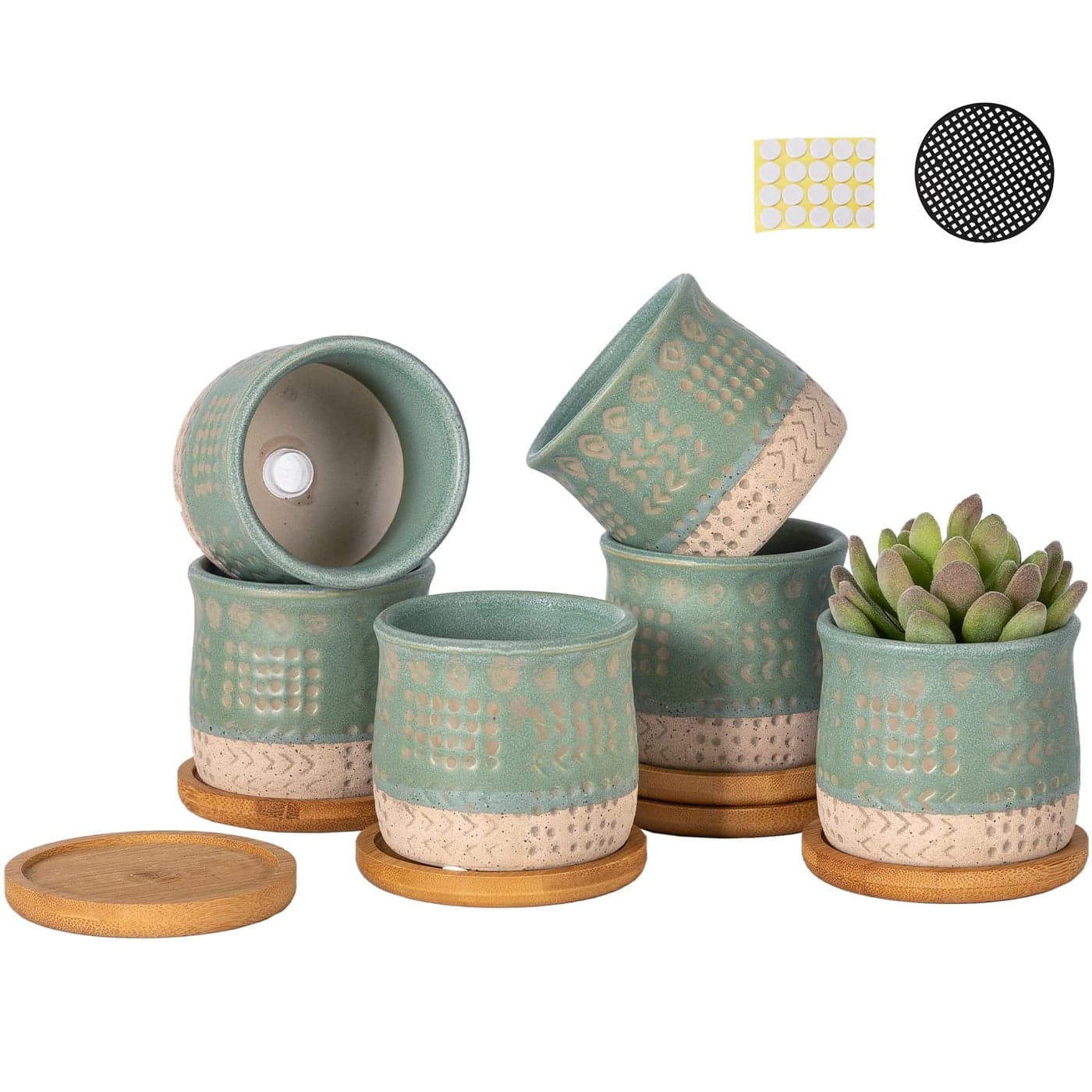 TAMAYKIM 275 Inch Mini Ceramic Succulent Plant Pots Retro Tiny Planter Pots with Saucer Drainage Hole for Cactus Small Plants Set of 6 Green