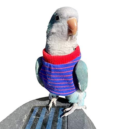 HEZHUO Bird Clothes Parrot Bird Supplies Light Flying Clothes Warm and Comfortable Tiger Skin Green Cheek Parrot Little Sun Parrot Monk Parrot Starling mynah Senegal Parrot Mini Macaw M