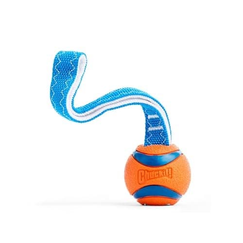 Chuckit Ultra Tug Dog Toy Small Fetch and Dog Ball Tug Toy for Dogs 020 Pounds