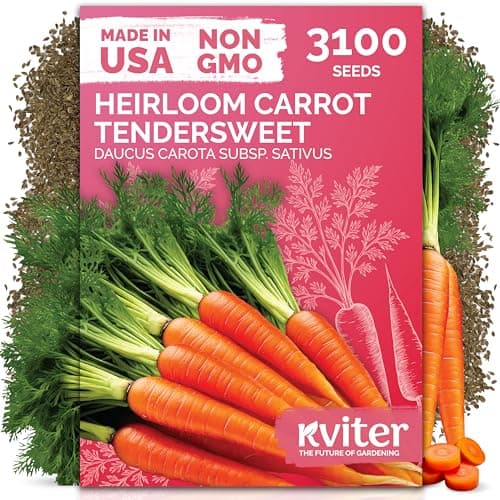 KVITER 3100 Tendersweet Carrot Seeds for Planting (Daucus carota) –Non GMO Vegetable Seeds for Outdoor Garden – Sweet Heirloom Carrots – Carrot Seed Packets for Home Garden, Beds, Containers