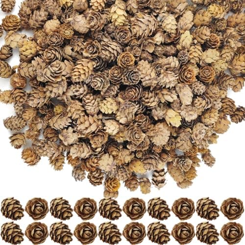 TIHOOD 160PCS 1.18"-1.97" Christmas Natural Mini Pine Cones-Thanksgiving Pine Cones Ornaments for DIY Crafts, Home Decorations,Fall and Christmas,Wedding Decor
