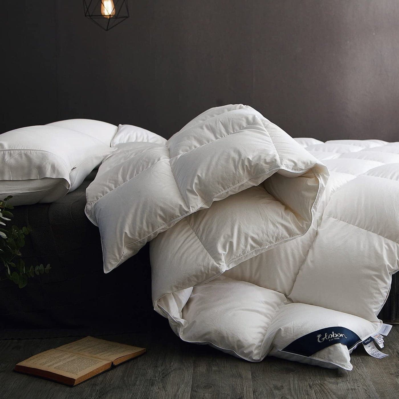 Globon Winter Down Comforter Queen SizeHeavyweight Duvet Insert for Clod SleepersNoiseless Soft Shelllwith 8 Corner Tabs White