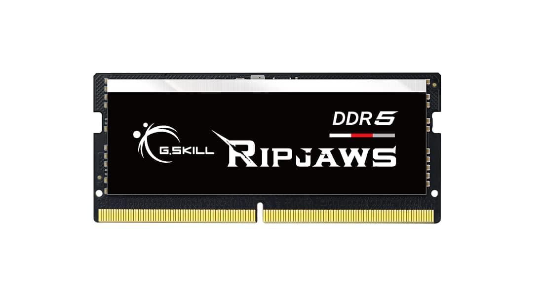 G.SKILL Ripjaws DDR5 SO-DIMM Series DDR5 RAM 64GB (2x32GB) 5600MT/s CL40-40-40-89 1.10V Unbuffered Non-ECC Notebook/Laptop Memory SO-DIMM (F5-5600S4040A32GX2-RS)