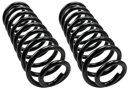 MOOG 81049 Coil Spring Set for Chevrolet Trailblazer