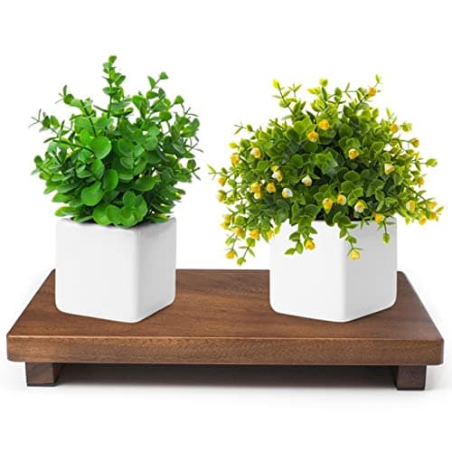 kulusion Wood Riser For Display Walnut Wood Pedestal Stand farmhouse decor Soap Tray Displays Your Plant Bottles Candles for Your Home Kitchen Large 12 x 71 x157Inch
