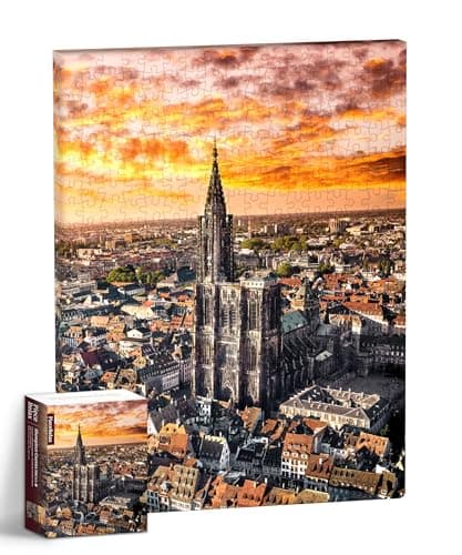 PieceRelax Puzzle Canvas Wall Art 366 Plastic Pieces for Adults Henry Do Aerial Photography Strasbourg Cathedral France Unique Gift Home Dcor with Jigsaw Puzzle Artwork HN1312