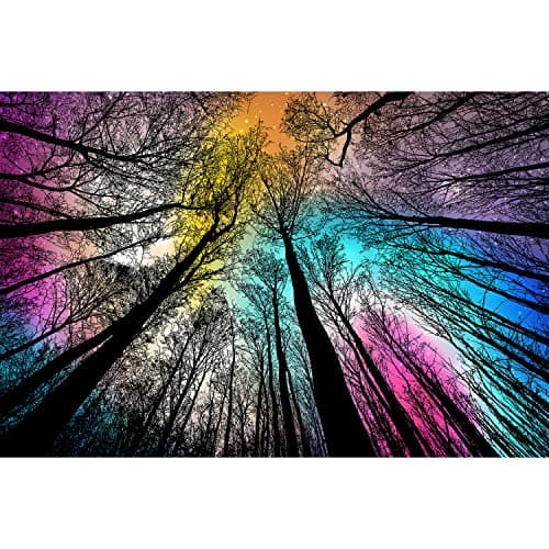 Bgraamiens PuzzleForest Under Starry Night1000 Pieces Gradient Magic Colorful Puzzle for AdultHard Challenge Puzzle for Adult