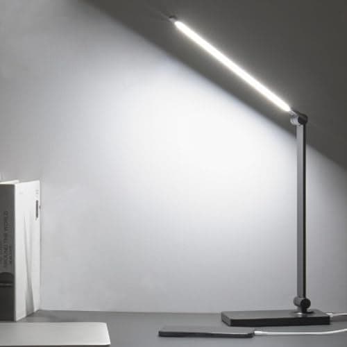 DWEPTU Rechargeable Desk Lamp LED Desk Lamps Eye-Caring Desk Lamps Dimmable Office Lamp with USB Chager Touch Control for Home Office Student Dormitory