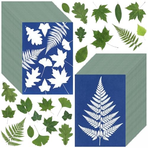 Sun Print Cyanotype Paper Kit 50 Sheets A6 Cyanotype Papers with 1 Sheet Acrylic Panel High Sensitive Nature Solar Activated Sun Printing Art Supplies for Arts Crafts DIY Project