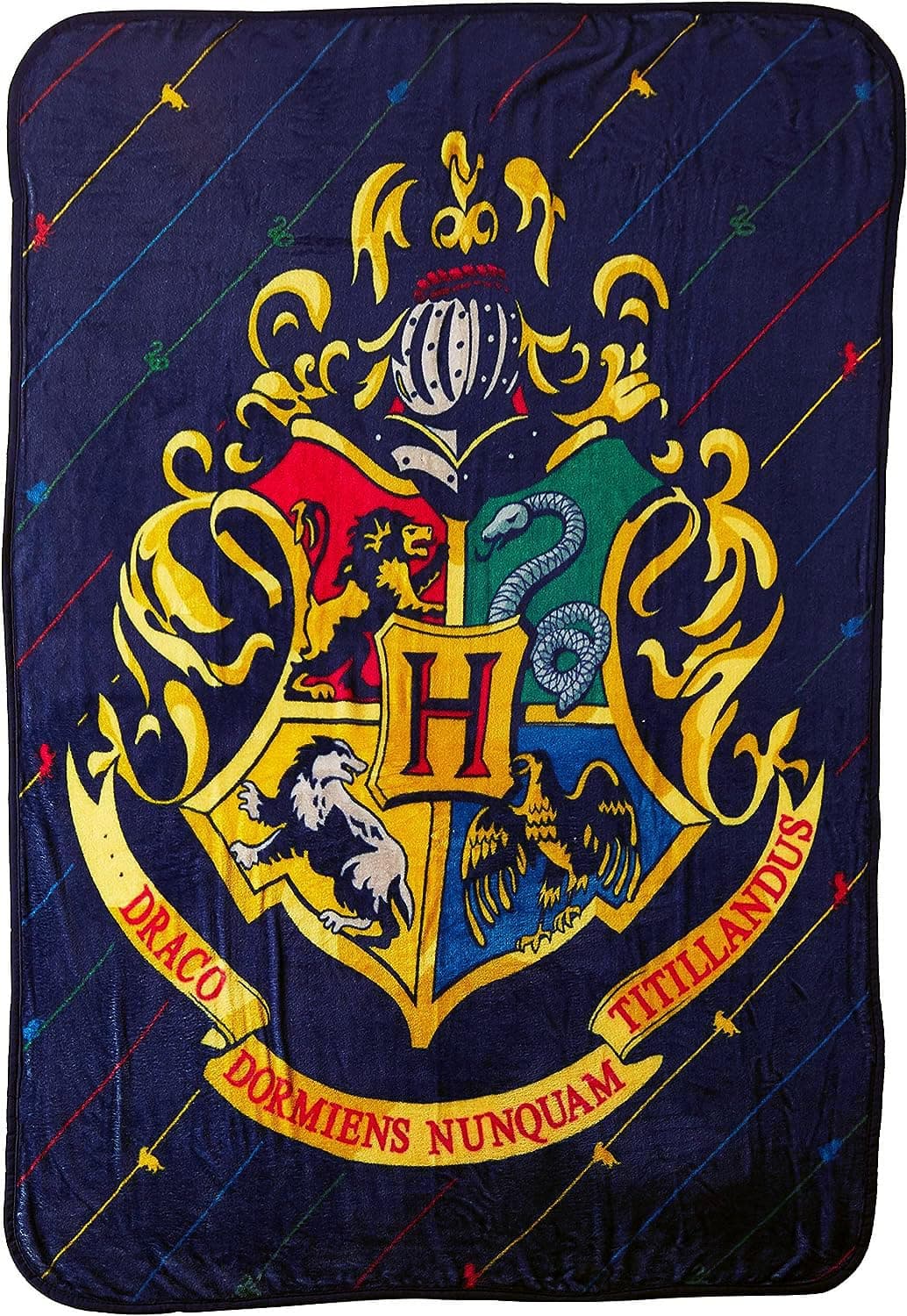 Northwest Harry Potter Micro Raschel Throw Blanket 46 x 60 House Pinstripes