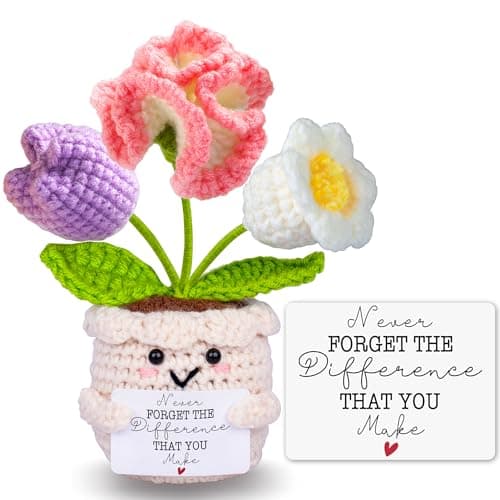 Teacher Appreciation Gifts, Thank You Teacher Gifts, Graduation Birthday Retirement Gift for Teachers Mentor Coworker Boss, Cute Handmade Crochet Carnations 3 Flowers Pot Doll Teacher's Day Bulk Gift