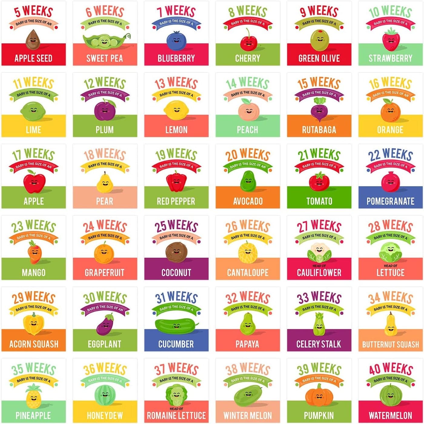 Canopy Street Maternity Weekly Milestone Photo Props 18 Card Set Of 36 Baby Growth Designs 9 x 9 Modern Pregnancy KeepsakeAdorable Photography As You Grow Signs