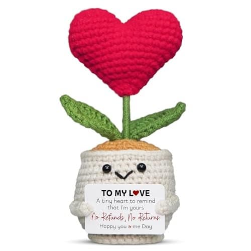 OASSIE Anniversary Couple Gifts for Women Men - Heart Flower Pot Crochet with Card - Funny Mothers Day Anniversary Wedding Couples Gifts for Wife Husband Him Her Boyfriend Girlfriend