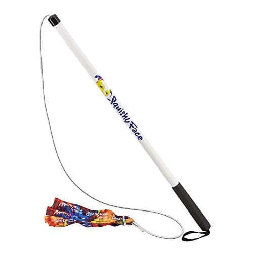 Squishy Face Studio Flirt Pole V2 with Lure Durable Dog Toy for Fun Obedience Training Exercise Rainbow Tie Dye Regular 36 inch for All Breed Sizes