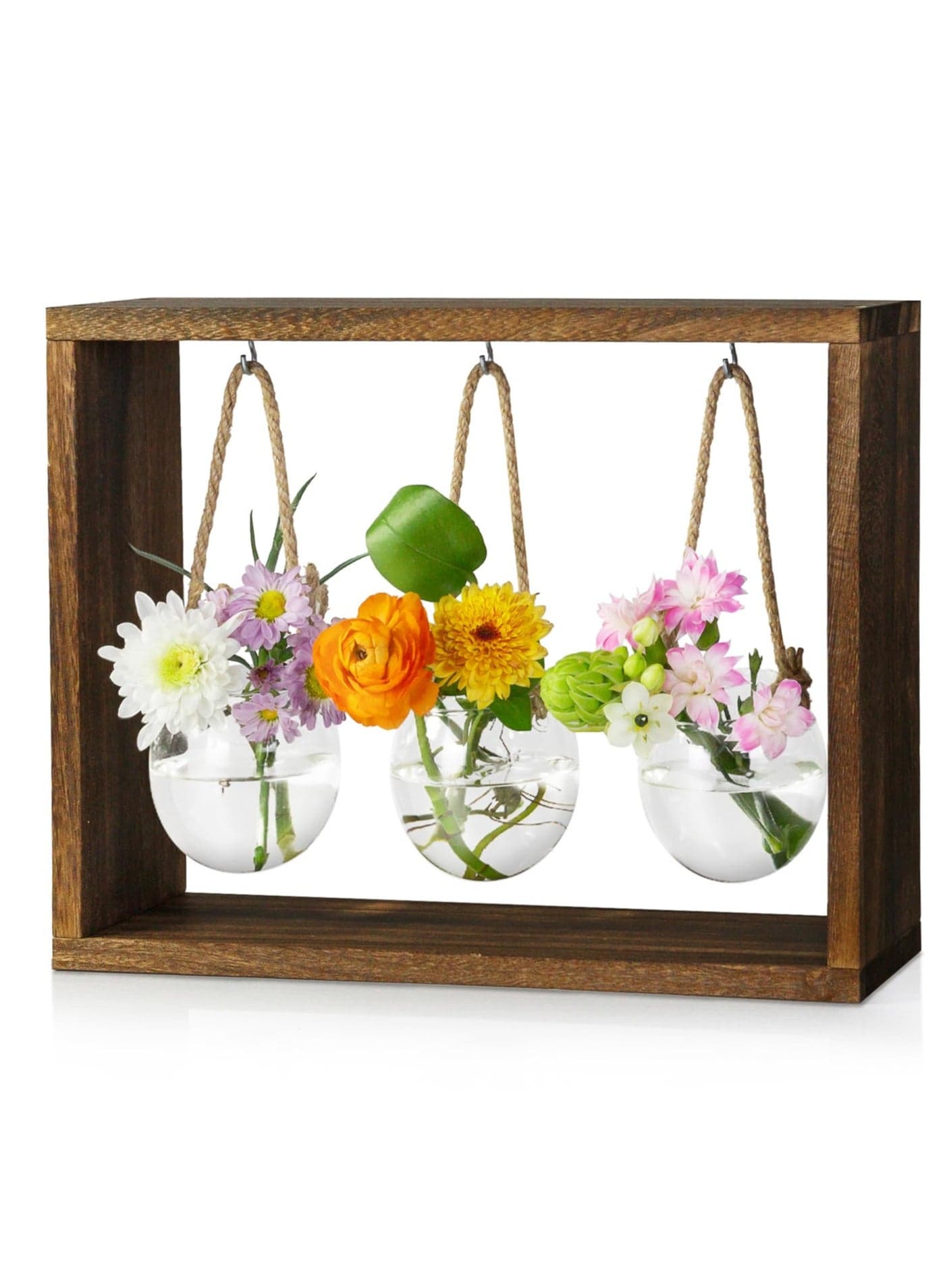 Stylish Desktop Plant Propagation Station with Wooden Stand and Glass Planters, Perfect for Hydroponics, Home Decor, and Unique Gifts for Mom
