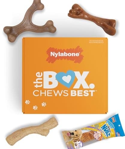 Nylabone Puppy Gift Box Includes 3 Strong Puppy Chew Toys and 1 Natural Treat Bone for Puppies Gifts for Puppies Small Dogs Up to 25 lbs 4 Pack