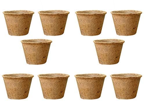 COIR GARDEN Coir Pot Basket for Gardening Plants and Flowers (6-inch) - Pack of 10