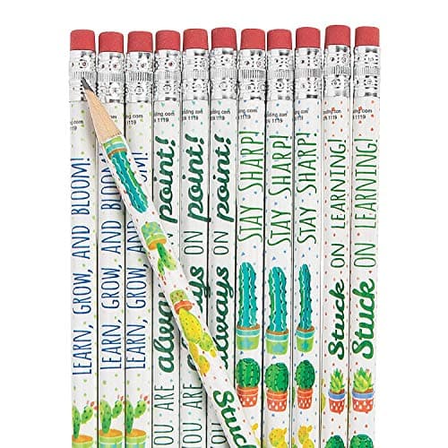 Fun Express Cactus And Succulents Pencils 24 Pieces Educational And Learning Activities For Kids