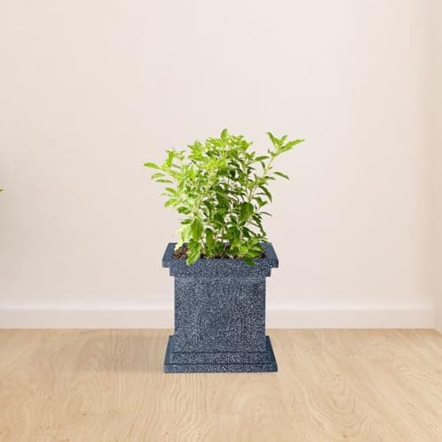 BonKaso 12 inch Dark Grey Tulsi Pot – Tall, Durable & Lightweight German Polymer Planter for Indoor & Outdoor Use: Home, Office, Garden & Balcony (Gamla/Gamale)