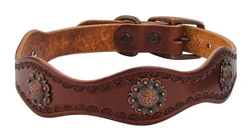 Weaver Leather Sundance Dog Collar, 1 x 23-Inch, Brown