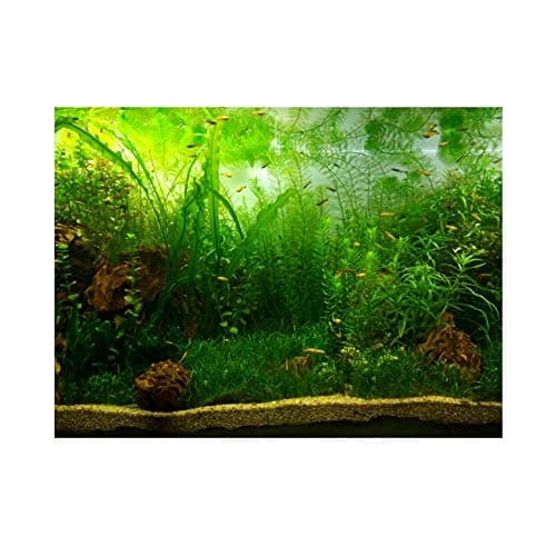 Aquarium Fish Background Poster PVC Adhesive Decor Paper Green Water Grass Aquatic Like Real(24.02x11.81in)
