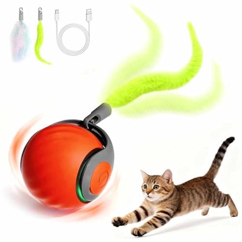Kinizuxi Interactive Cat Toys for Indoor Cats Rechargeable Moving Cat Ball with Feather Tail 2 Speeds Automatic Kitten Toys for Bored Indoor CatsMotion Activated Rolling Ball Toys Orange