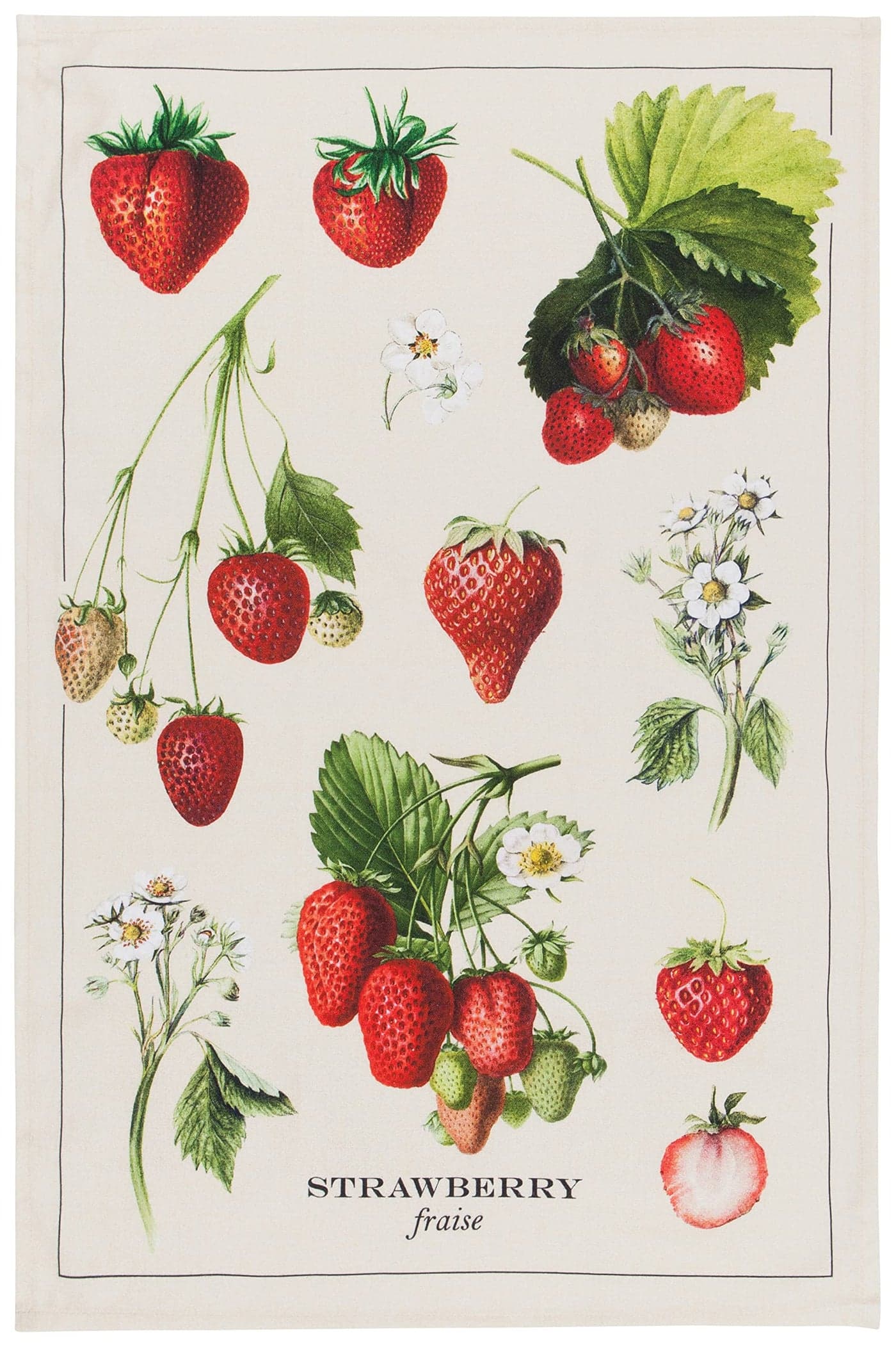 Now Designs Vintage Straberries Printed Kitchen Towel 18x28 inches