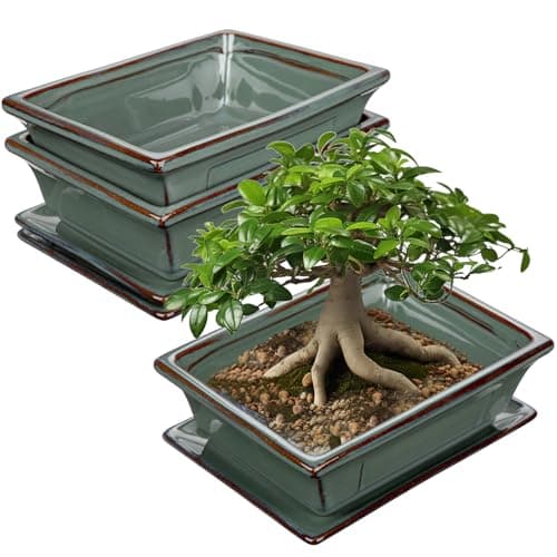Ceramic Bonsai Pots with Drainage Trays Set of 2, Green Glazed Bonsai Planters for Indoor/Outdoor Use, Rectangular Shallow Bonzai Tree Pot for Succulent, Orchids, Cacti, Home, Patio, Garden, 7.5"x5.5"