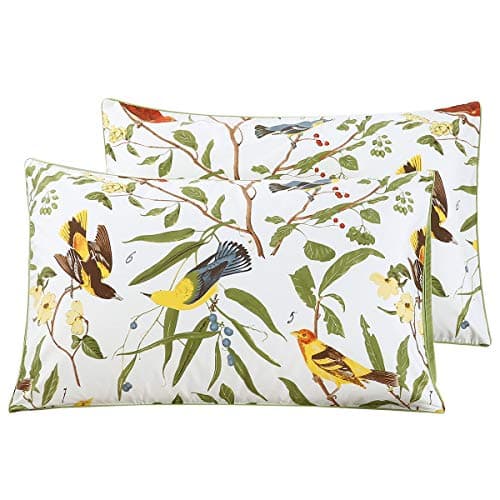 WINLIFE 100% Cotton Pillowcases Queen 2 Pillow Cases Decorative Farmhouse Green Leaves Birds Printed Pillow Cover Set of 2 (Queen 20x30'', Birds)
