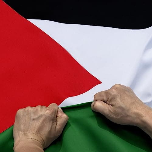 Anley RipProof Double Sided 3Ply Palestine Flag 3x5 Foot Vivid Color Canvas Header and Wrinkle Resistant The Strongest Longest Lasting Palestinian National Flags 3 X 5 Ft