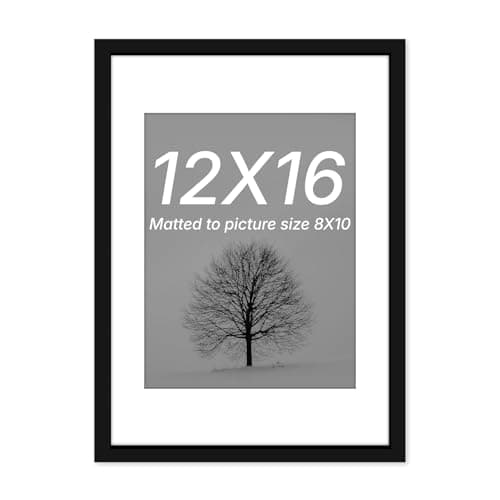 Art Street Synthetic Document Large Size Wall Photo Frame, Big Frames For Wall Artwork, Certificates, Picture & Photographs Home Decor (Black, 12x16 Inch, Matted To 8x10 Inch)