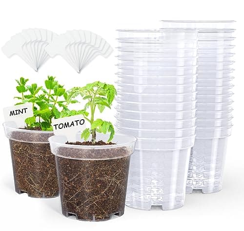 homenote Clear Nursery Pots for Plants4 Inch Plant Pot for Planting Plastic Seedling with Drainage Holes Seed Starter Flower High Transparency with 20 Labels 30 Pack