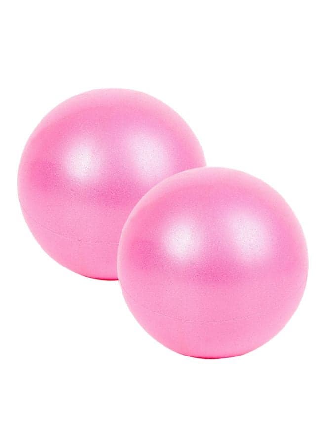 2-Piece Mini Pilates Barre Physical Ball 25cm